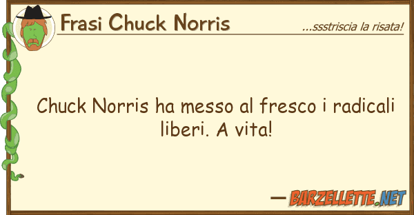 Frasi Chuck Norris chuck norris ha messo fresco radica