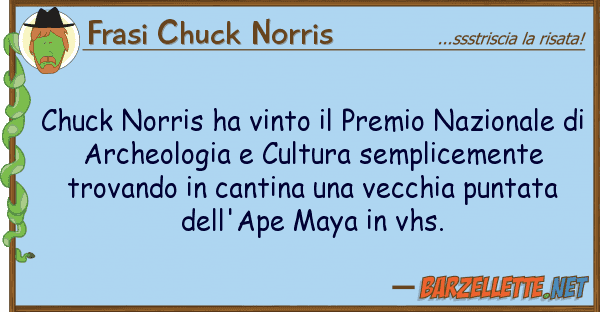 Frasi Chuck Norris chuck norris ha vinto premio nazional