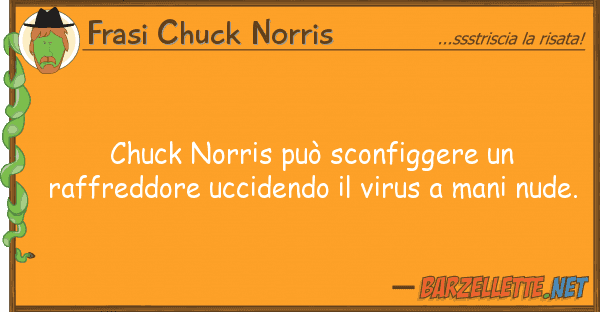 Frasi Chuck Norris chuck norris può sconfiggere raffred
