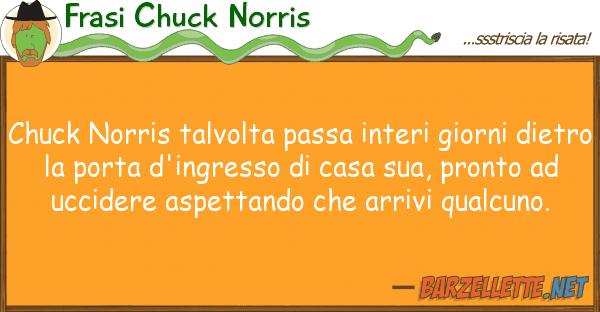 Frasi Chuck Norris chuck norris talvolta passa interi giorn