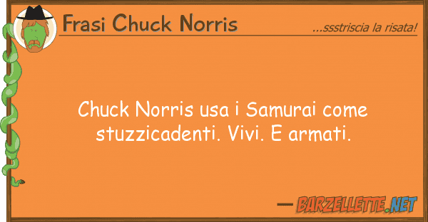 Frasi Chuck Norris chuck norris usa samurai stuzzica
