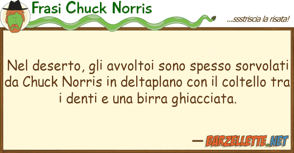 Frasi Chuck Norris deserto, avvoltoi sono spesso so
