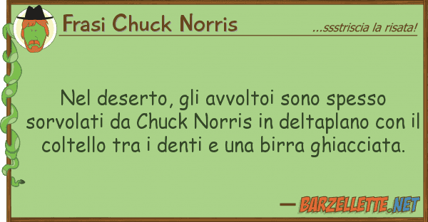 Frasi Chuck Norris deserto, avvoltoi sono spesso so