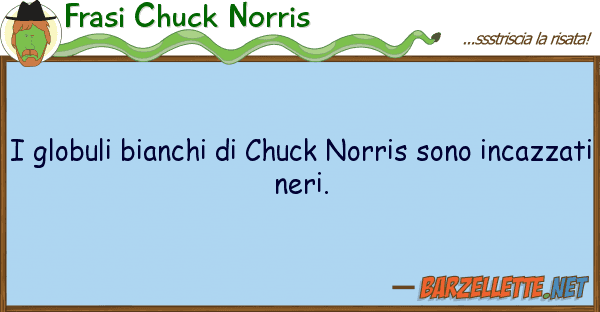 Frasi Chuck Norris globuli bianchi chuck norris sono