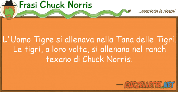 Frasi Chuck Norris l'uomo tigre allenava tana
