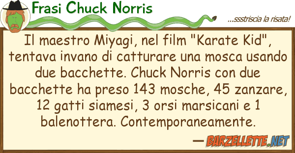 Frasi Chuck Norris maestro miyagi, film "karate kid"