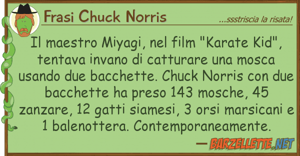 Frasi Chuck Norris maestro miyagi, film "karate kid"