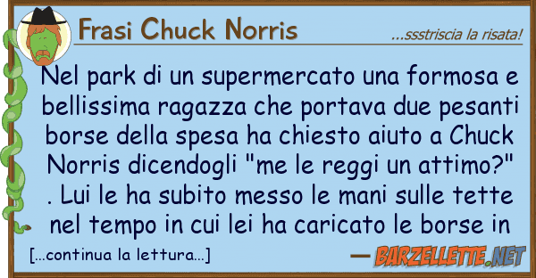 Frasi Chuck Norris park supermercato formosa