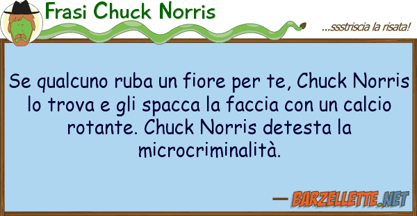 Frasi Chuck Norris qualcuno ruba fiore te, chuck