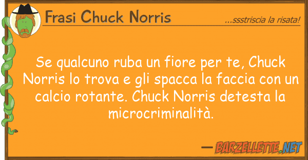 Frasi Chuck Norris qualcuno ruba fiore te, chuck