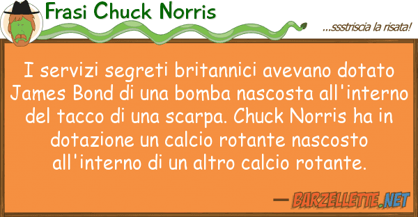 Frasi Chuck Norris servizi segreti britannici avevano dot