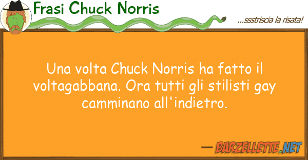 Frasi Chuck Norris volta chuck norris ha fatto volta