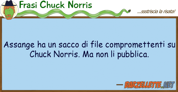 Frasi Chuck Norris assange ha sacco file comprometten