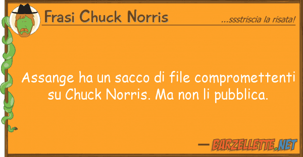 Frasi Chuck Norris assange ha sacco file comprometten