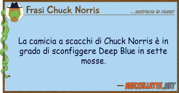 Frasi Chuck Norris camicia scacchi chuck norris è