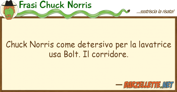 Frasi Chuck Norris chuck norris detersivo lavat