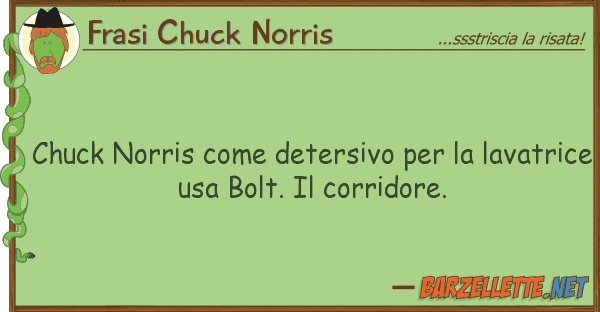 Frasi Chuck Norris chuck norris detersivo lavat