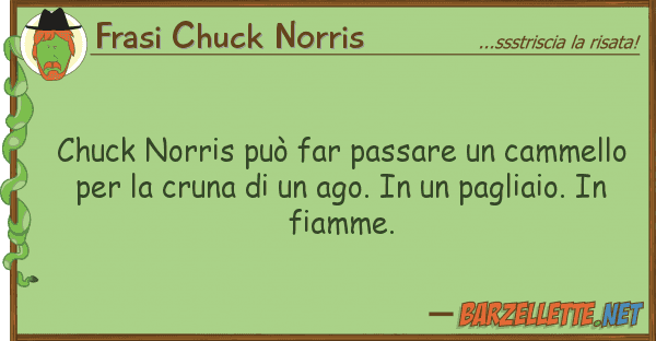 Frasi Chuck Norris chuck norris può far passare cammell
