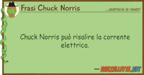 Frasi Chuck Norris chuck norris può risalire corrente