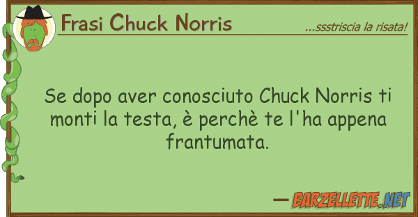 Frasi Chuck Norris dopo aver conosciuto chuck norris