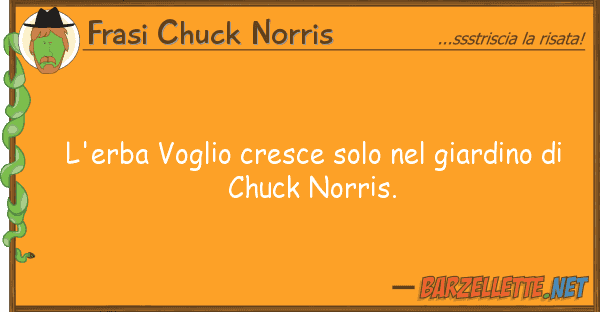 Frasi Chuck Norris l'erba voglio cresce solo giardino d