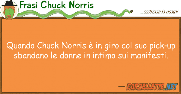 Frasi Chuck Norris quando chuck norris è giro p
