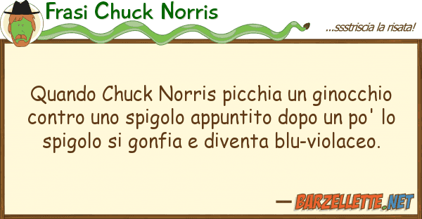 Frasi Chuck Norris quando chuck norris picchia ginocchio
