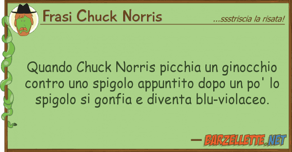 Frasi Chuck Norris quando chuck norris picchia ginocchio