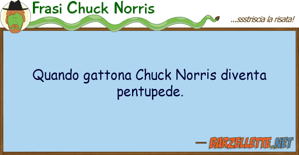 Frasi Chuck Norris quando gattona chuck norris diventa pent