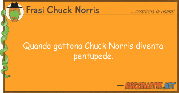 Frasi Chuck Norris quando gattona chuck norris diventa pent