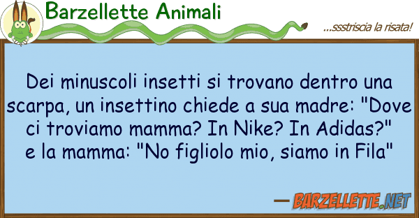 Barzellette Animali minuscoli insetti trovano dentro