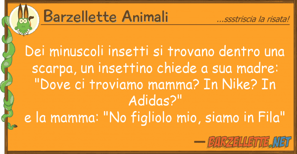 Barzellette Animali minuscoli insetti trovano dentro