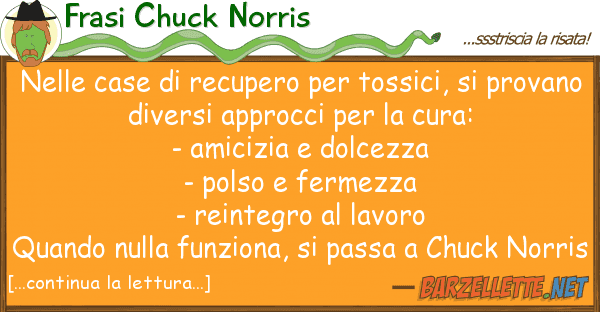 Frasi Chuck Norris case recupero tossici, p