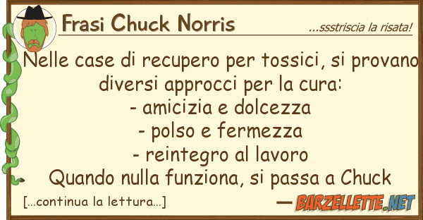 Frasi Chuck Norris case recupero tossici, p