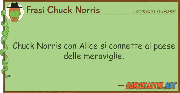 Frasi Chuck Norris chuck norris alice connette pa