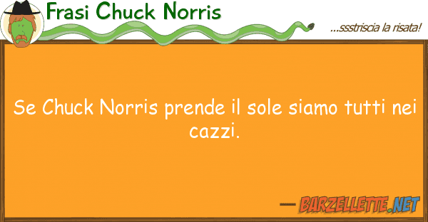 Frasi Chuck Norris chuck norris prende sole siamo tut