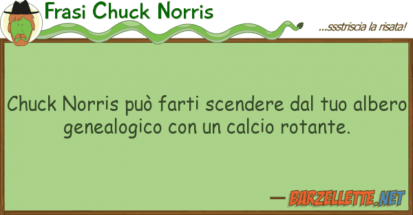 Frasi Chuck Norris chuck norris può farti scendere