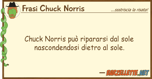 Frasi Chuck Norris chuck norris può ripararsi sole nas