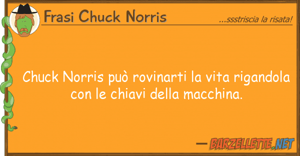 Frasi Chuck Norris chuck norris può rovinarti vita riga