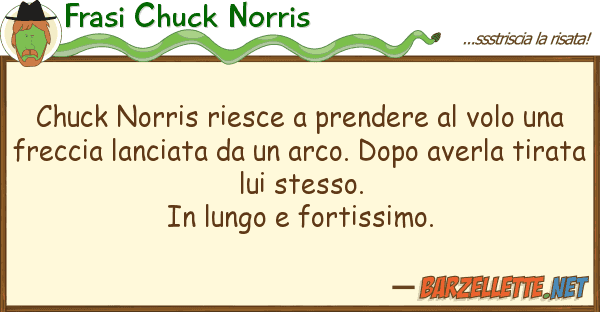 Frasi Chuck Norris chuck norris riesce prendere volo u