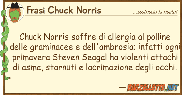 Frasi Chuck Norris chuck norris soffre allergia polli