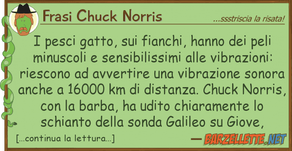 Frasi Chuck Norris pesci gatto, fianchi, hanno pe