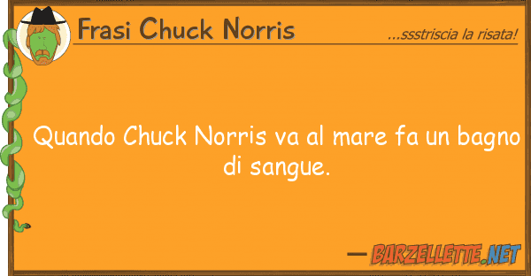 Frasi Chuck Norris quando chuck norris va mare fa bag
