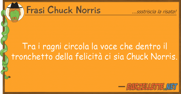 Frasi Chuck Norris ragni circola voce dentro