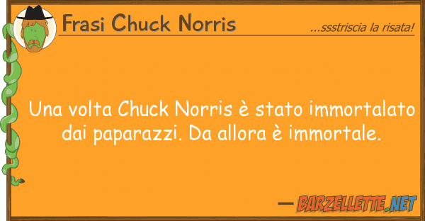 Frasi Chuck Norris volta chuck norris è stato immortal