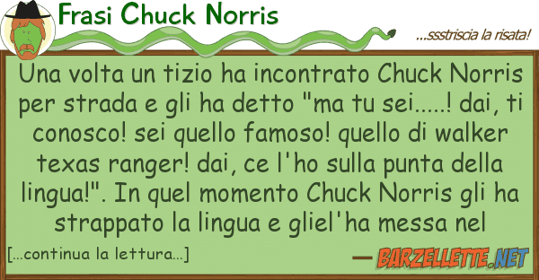 Frasi Chuck Norris volta tizio ha incontrato chuck n