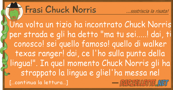 Frasi Chuck Norris volta tizio ha incontrato chuck n