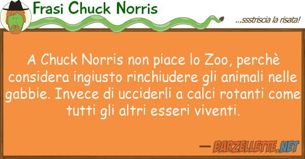 Frasi Chuck Norris chuck norris piace zoo, perchè