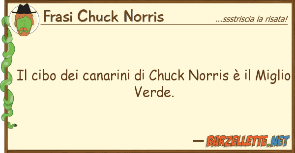 Frasi Chuck Norris cibo canarini chuck norris è