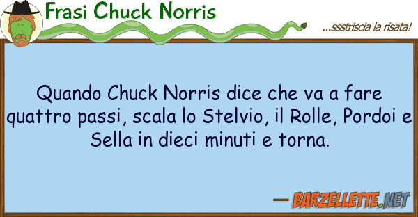 Frasi Chuck Norris quando chuck norris dice va fare q